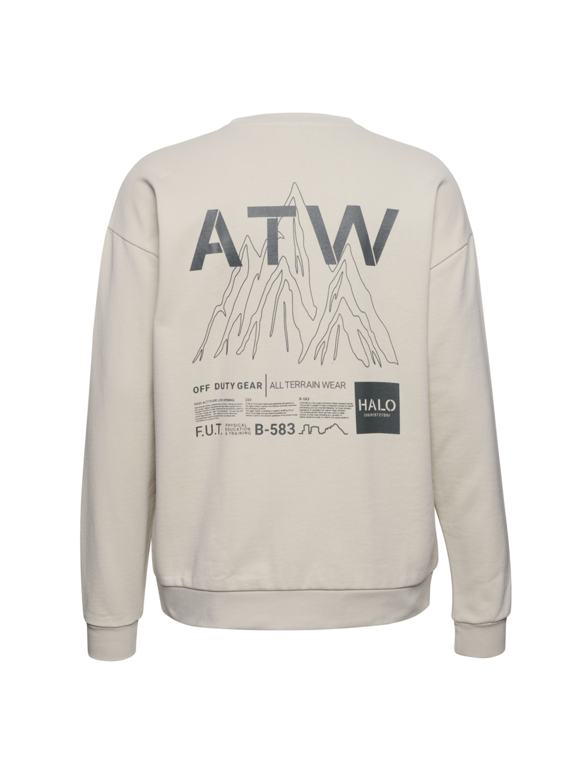 HALO GRAPHIC CREW 02, SILVER LINING, packshot