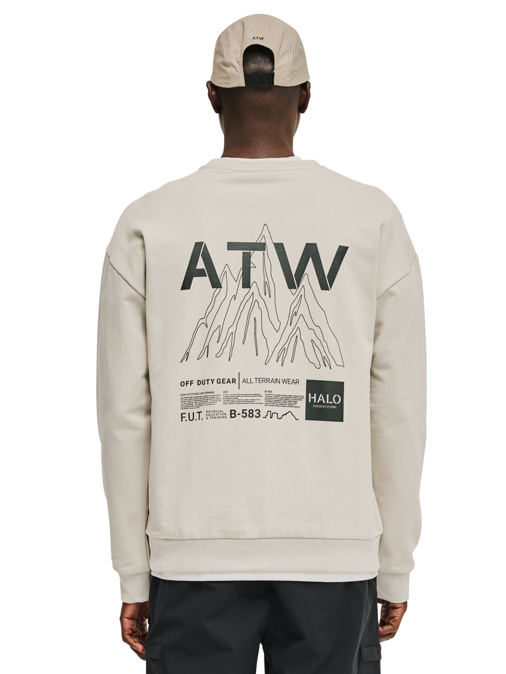 HALO GRAPHIC CREW 02, SILVER LINING, model