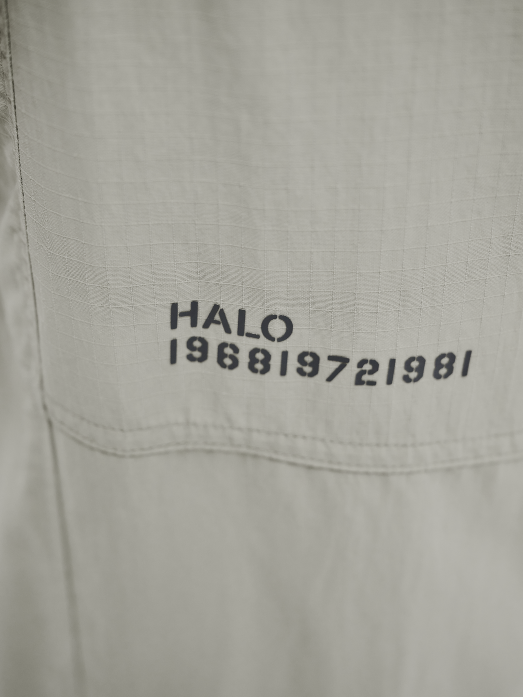 HALO ASSET PANTS, SENECA ROCK, model