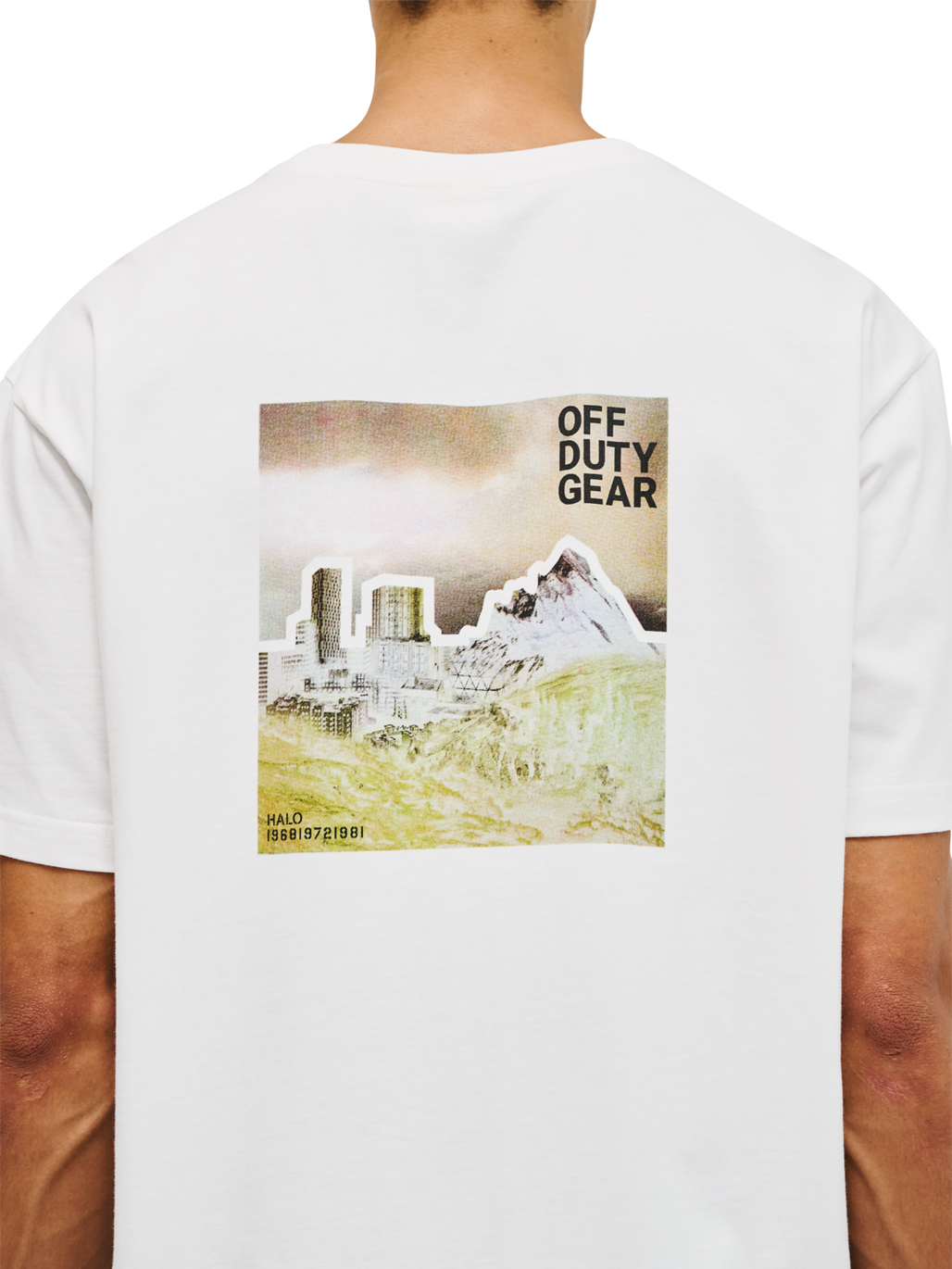 HALO GRAPHIC T-SHIRT, MARSHMALLOW/SENECA ROCK, model