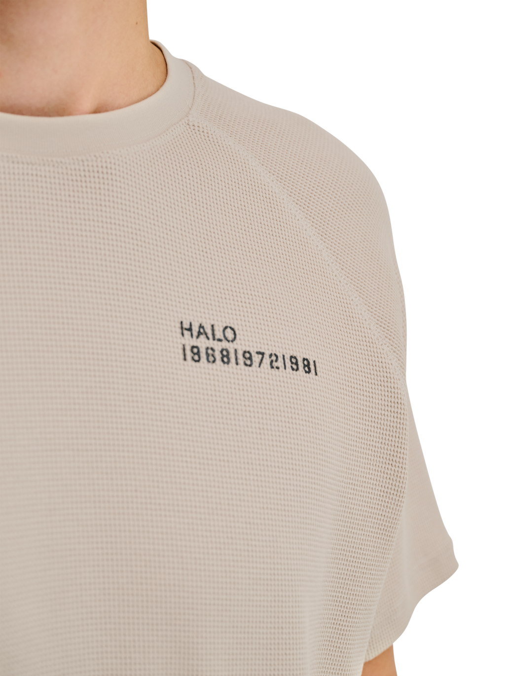 HALO SKYHOOK T-SHIRT, SILVER LINING, model