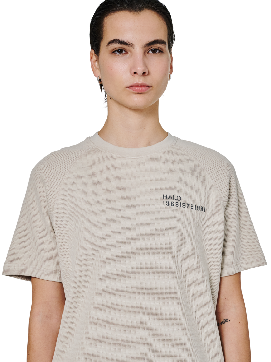 HALO SKYHOOK T-SHIRT, SILVER LINING, model