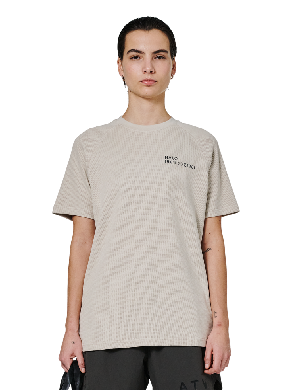 HALO SKYHOOK T-SHIRT, SILVER LINING, model