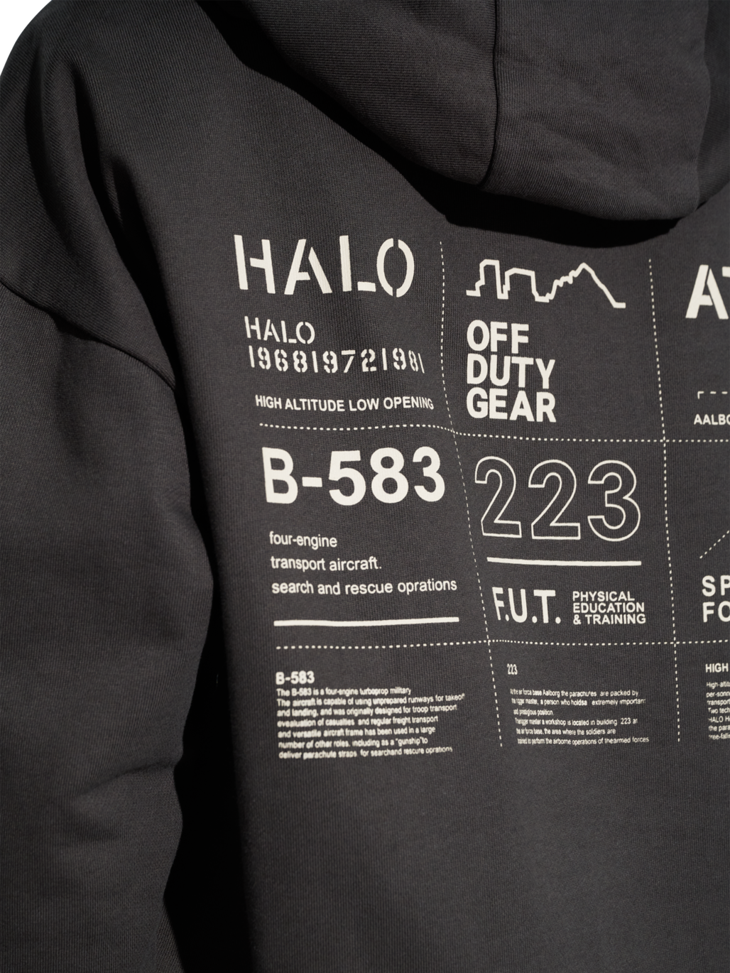 HALO GRAPHIC HOODIE, RAVEN, model