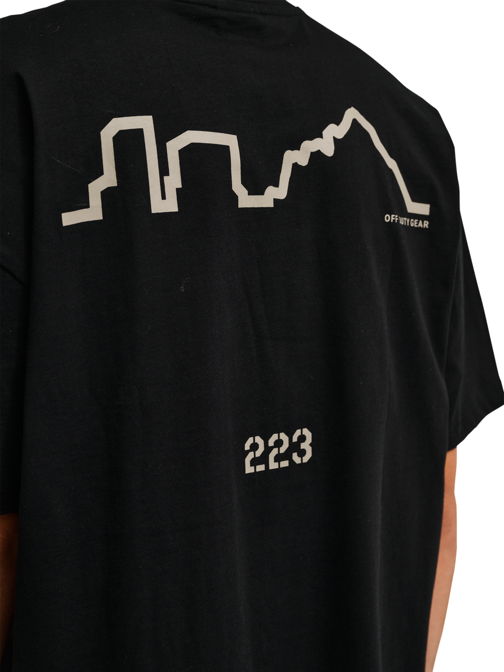 HALO GRAPHIC BOXY T-SHIRT, BLACK/SENECA ROCK, model