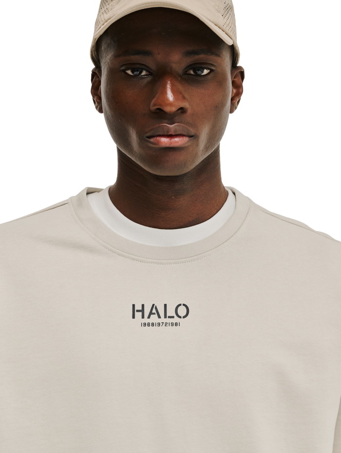 HALO GRAPHIC CREW 02, SILVER LINING, model