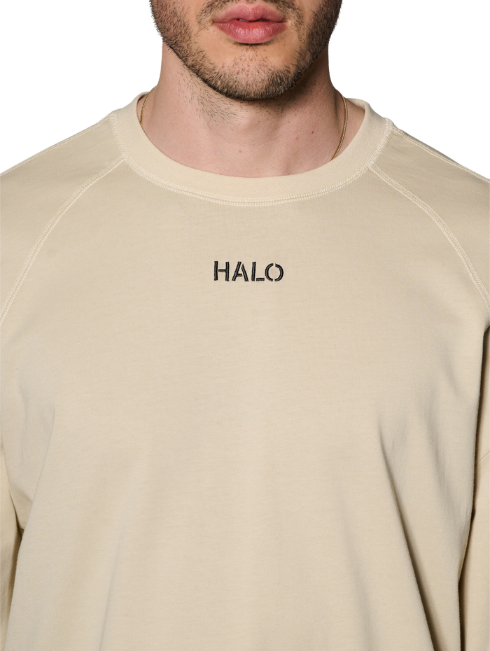 HALO CORDURA L/S T-SHIRT, OYSTER GRAY, model