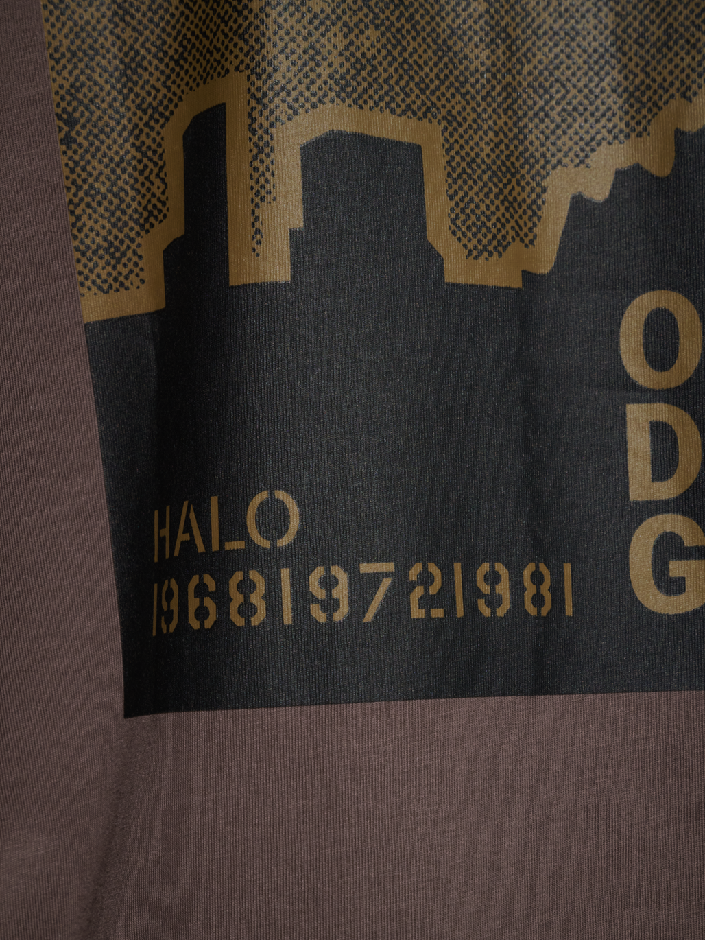 HALO GRAPHIC L/S T-SHIRT 02, BRACKEN, model